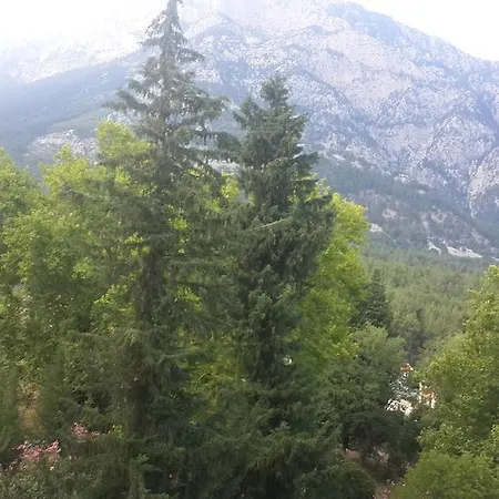 Holiday home Erdogan *